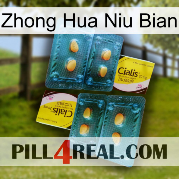 Zhong Hua Niu Bian cialis5.jpg